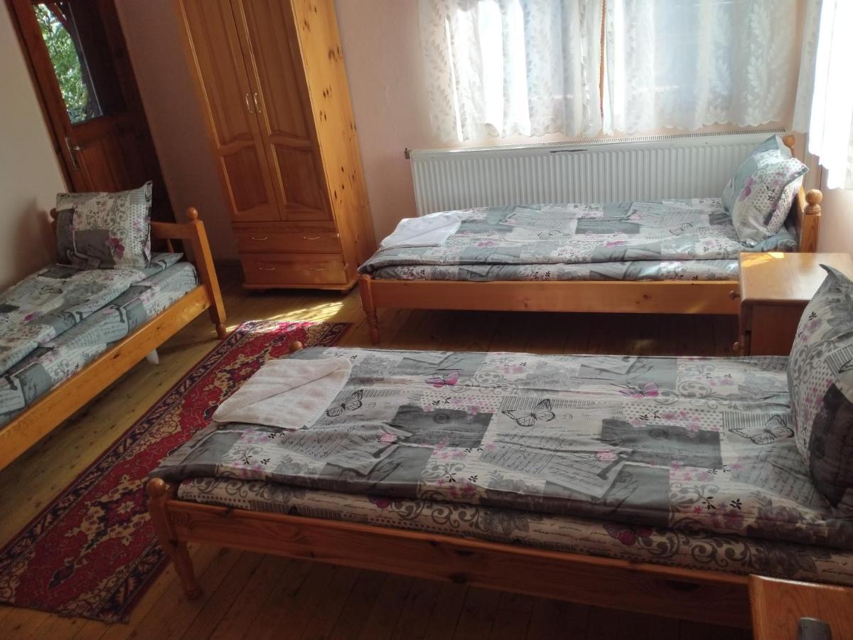 Стаи За Гости Дора コプリフシティツァ 部屋 写真